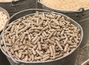 Pelletized Animal Feed